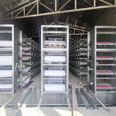 China Düngemittel-Abbau-System des Geflügel-2-3rows für Tierhaltung SONCAP listete auf zu verkaufen