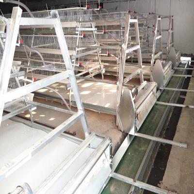 China 10-12m/Min Belt Poultry Manure Removal-Systeem Geruisloos voor Kippenlandbouwbedrijf Te koop