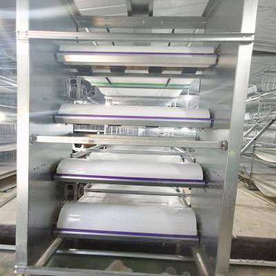 China 1.2mm Gurt-automatisches Düngemittel-Abbau-System, 10-12m/Min Chicken House Equipment zu verkaufen