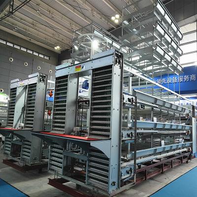 China equipo de la avicultura de las entrerroscas 360degree de 25m m, capa del huevo Q235 que cultiva la jaula en venta