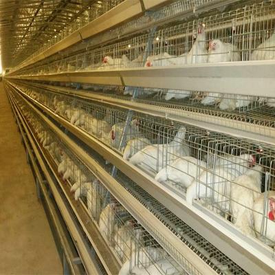 China 160 Vögel eine Art Geflügel-Käfig-Hennen-Geflügel-Ei-landwirtschaftliche Maschinen zu verkaufen