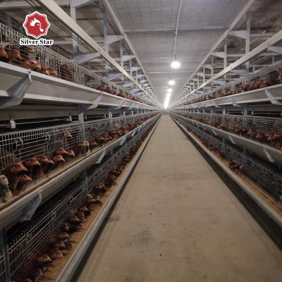 China De Kooigevogelte 204 van de één Dag Oud Kip vogelsh type grillkooi Te koop