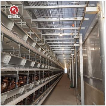 China H-Art Batterie-Huhn, welches das Käfig-Huhn bewirtschaftet den Käfig automatisch bewirtschaftet zu verkaufen