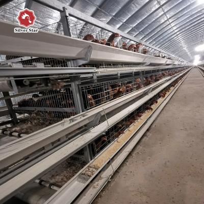 Cina Più nuova progettazione del tipo gabbia per polli di H del pollo di strato in vendita