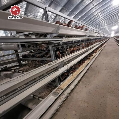 Cina Gabbia per polli d'argento del pollo di colore di 3 Tires per l'azienda agricola in vendita