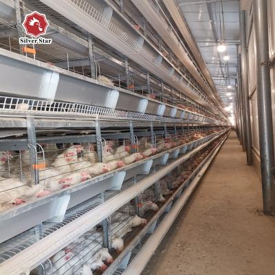 Cina Strati usati/cellula della gabbia 9 del pollo di strato dell'azienda agricola di pollo del pollame in vendita