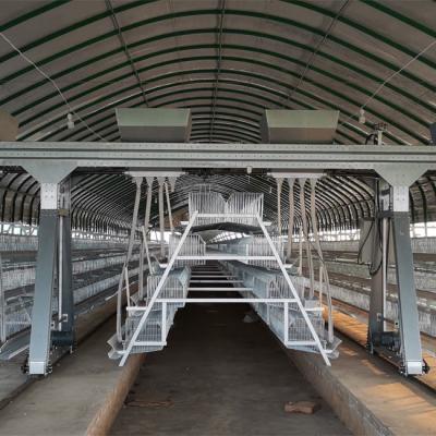 China Um tipo que a galinha automática completa da bateria prende frio galvanizou para a exploração agrícola à venda