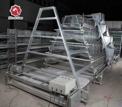 Cina Tipo galvanizzato automatico ISO9001 di Chick Brooder Cage A della carne in vendita