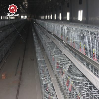 中国 Hot Galvanized  Full Automatic Baby Chick Cage 販売のため