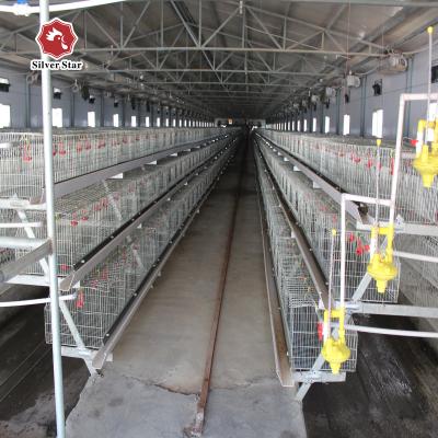 Cina Cavo Mesh Baby Chick Cage Eggs dell'azienda agricola che raccoglie pulizia del concime in vendita