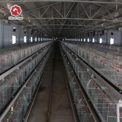 Cina Sistema automatico completo di Chick Modern Hen Cage With del bambino d'argento in vendita