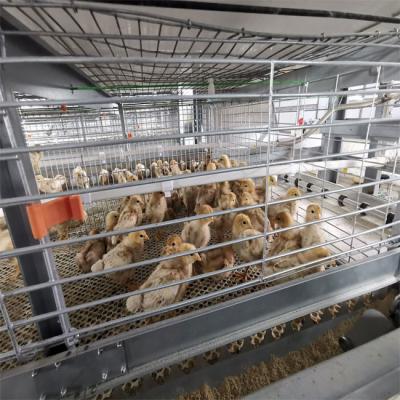 China Tipo automático sistema de consumición de H de las aves de corral de la jaula de batería en venta