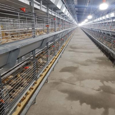 China Sistema de consumición galvanizado caliente de las aves de corral de la jaula de batería en venta