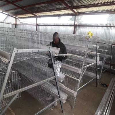 China 160 Birds / Set A Type Chicken Cage Hot Galvanised Steel Wire for sale