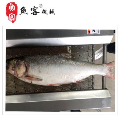 China High Rate FCM658 Factory Price Multi-size Cleaning Fish Scale Removing Machine Fish Washing Machine Customer Customized Fish Scale Peeler Machine for sale