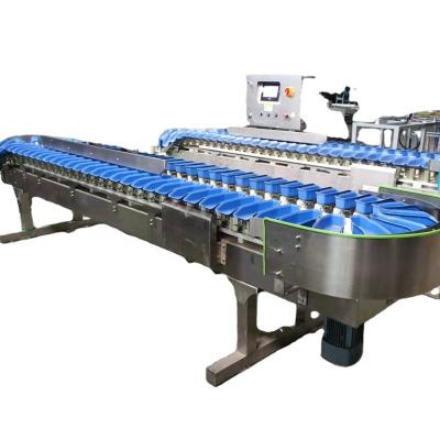 China Sea Cucumber Industry High Efficiency Seafood Poultry Sorter Machine Automatic Fish Shrimp Weighing Sorter for sale