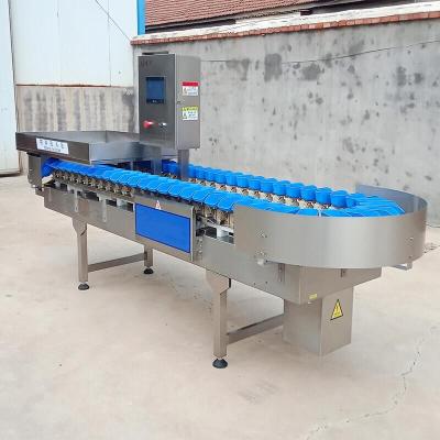 China New design sea cucumber fruit weight grading machine/avocado grading machine/avocado grading machine for sale