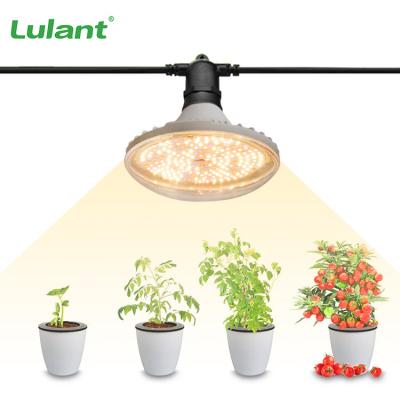 China Easy Install New Arrival Horticultural Lighting Led Plant Growth Lamp Flower Vegetable Led Grow Light Bulb For Indoor Plants for sale