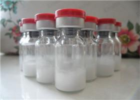 Chine Anti poudres de stéroïdes d'oestrogène, traitement de dysfonctionnement sexuel du chlorhydrate 65-19-0 de Yohimbine à vendre