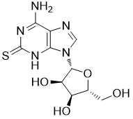 Chine 43157-50-2,6-amino-9- [(2R, 3R, 4S, 5R) - 3,4-dihydroxy-5- oxolan-2-yl (hydroxyméthylique)] - 1H-purine-2-thione, C10H13N5O4S à vendre