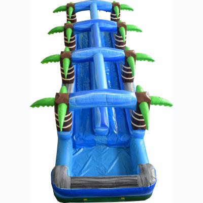 China Double (TWO) Lanes PVC Slide n Water Slide Tropical Inflatable Pool Slide Wet Slide for Kids Adults for sale