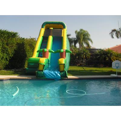 China Indoor / Outdoor Premium Pool Slides Water Inflatable Water Slide In Swimming Pool for sale