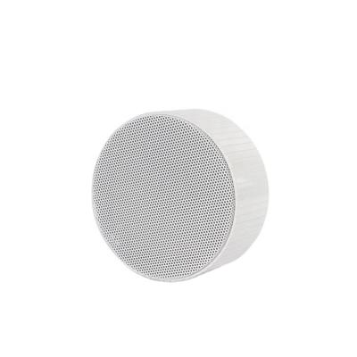 China PA System Modern Design Full Range 6-15W 100V PA Outdoor Stand Speaker CS-306 For Commercial Audio for sale