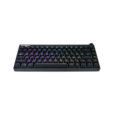 China Professional Hot Swap Anti-Ghosting PCB All Key RGB Mechanical Keyboard With Button for sale