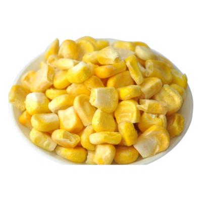 China Freeze dried food dry for now eat bulk dry corn for sale