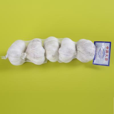 China Food Supermarket Use Mesh Tube Netting Bags Packing Garlic 3-6 Pieces In Line for sale