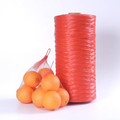 China Food Stored Pe Extruded Plastic Net Bags In Roll For Vegetables for sale