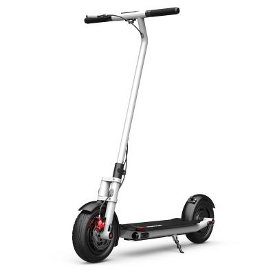 China Easy Folding Modern 300w Child Electric Scooter for sale