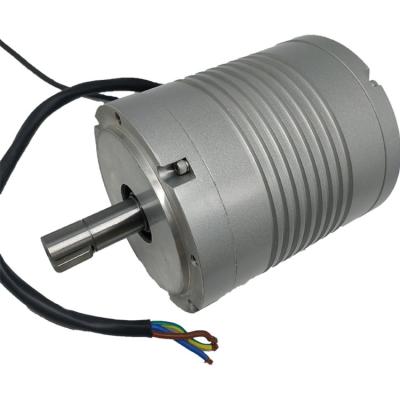 China High Quality 500W 800W 1000W 1500W 2000W 2500W 3000W NdFeB Brushless DC Motor Magnet Motor Totally Enclosed Brushless DC Motor for sale