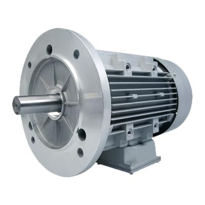 China Totally Enclosed Brushless DC Motor CE ROHS LVD GS CCC Motor Boat Electric Motor for sale