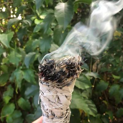 China Home.office.hotel.yoga. 38g Thumb Air Purifying White Meditation Sage Smudge From California Sacred Salvia Apiana Stick For Reiki Gym Xanadu 4 for sale