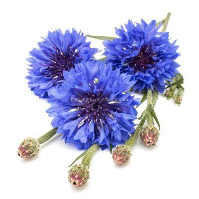 China Top Loose Grade Natural Edible Dried Xanadu Tea Blueberries Cooking Bulk Cyanus Flavor Bachelor Button Bakery Centaurea Flower Herbal Tea for sale