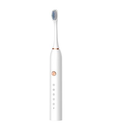 China Battery Operated Factory Can Customize Soft Hair Waterproof Sonic Electric Toothbrush for sale