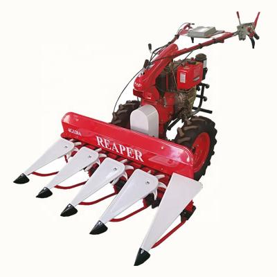 China Various Farmland 4G90 Peru Hot Sale Mini Tractor Mini Corn Harvester For Sale Machinery For Wheat Crops for sale