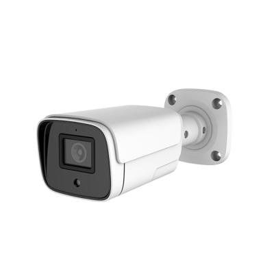 China Night Vision Indoor Waterproof Smart Outdoor Surveillance Security Camera Ahd/tvi/cvi/cvbs/utc 4 In 1 Hd CCTV Camera Apply Restaurant for sale