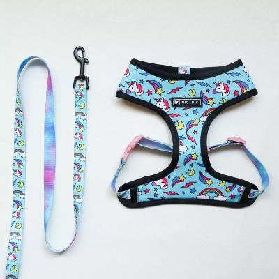 China Personalized INS Hot Sale Dog Breathable Mesh Vest Harness Leash Set Colorful Accessories Pets High Quality Pets Products for sale