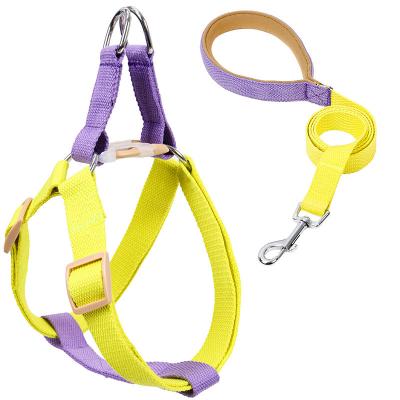 China Wholesale Personalized Colored Pet Leash Cins Design Trendsetter Dog Leash Custom Trunk Strap With Dog Harness SET for sale