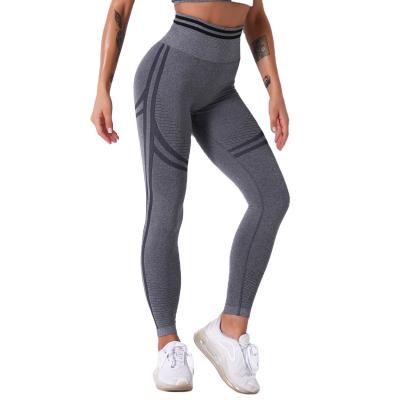 China Professional Breathable Extra Long Yoga Seamless Knitting Pants Dropship Wholesale Price Manufacturer Fitness Gaiters for sale