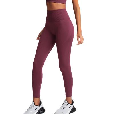 China Solid Color Sports Legging Belt Gym Workout Waist Shaper Yoga Seamless Knitting Elastic Pants High Top for sale