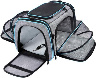 China Viable Multifunctional Pet Bag New Foldable Design Carry Puppy Pet Carrier Bag For Dog Cat for sale