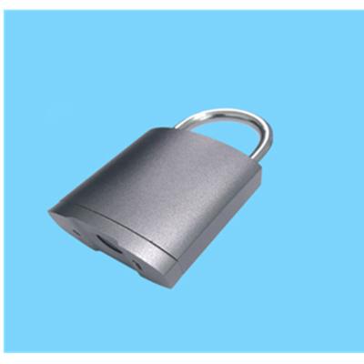 China FINGERPRINT LOCK PADLOCK Biometric Fingerprint door locks for sale