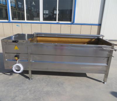 China High Efficiency Easy Operate Ginger Processing Machine Hydroxyl Fruit And Vegetable Washing Machine for sale