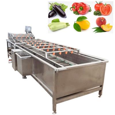 China High Efficiency Easy Operate Customized Fruit Washing Machine Fruit Washing Machine Fruit Washing Machine for sale