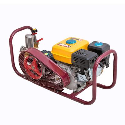 China Agriculture Supplier China Gasoline/Gasoline GX160 Power Portable Agricultural Sprayer for sale