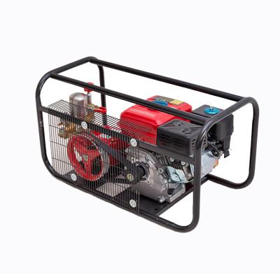 China High Quality Custom Agriculture Engine Gasoline Sets 20-45 Pa Power Sprayer for sale