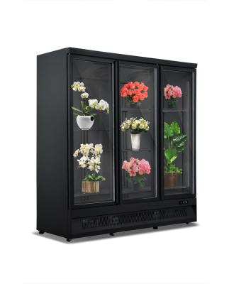 China High Quality Single-temperature Peru Sunflower Flower Market Triple Hinge Door Flower Showcase Refrigerator for sale